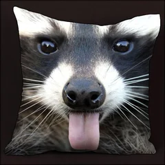 подушка, енот